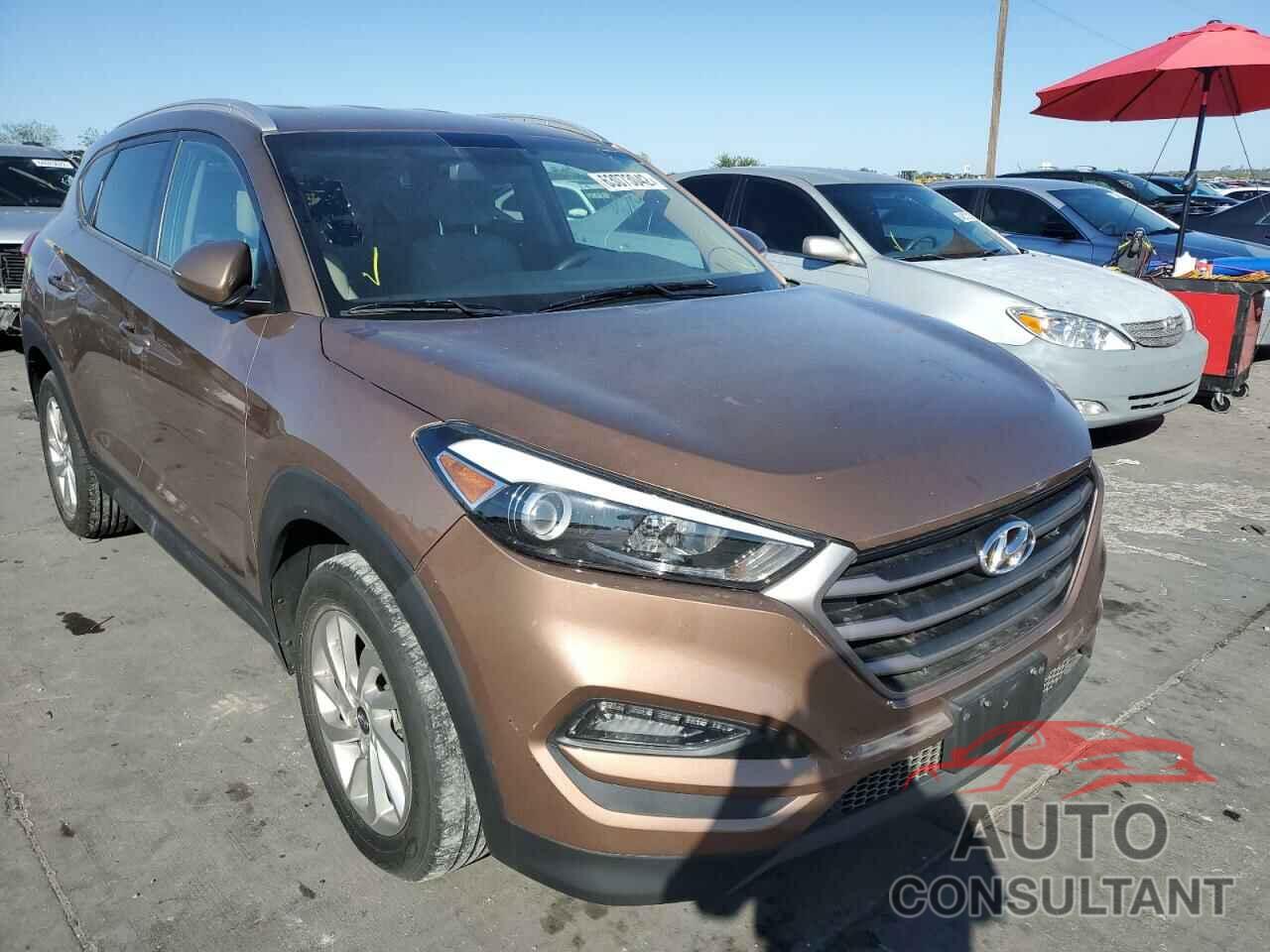 HYUNDAI TUCSON 2016 - KM8J33A46GU036191
