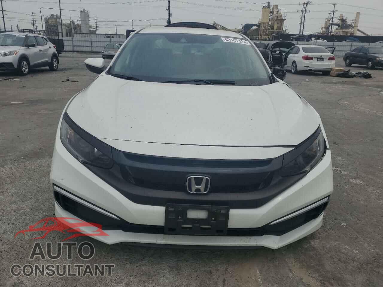 HONDA CIVIC 2019 - 2HGFC2F69KH531920