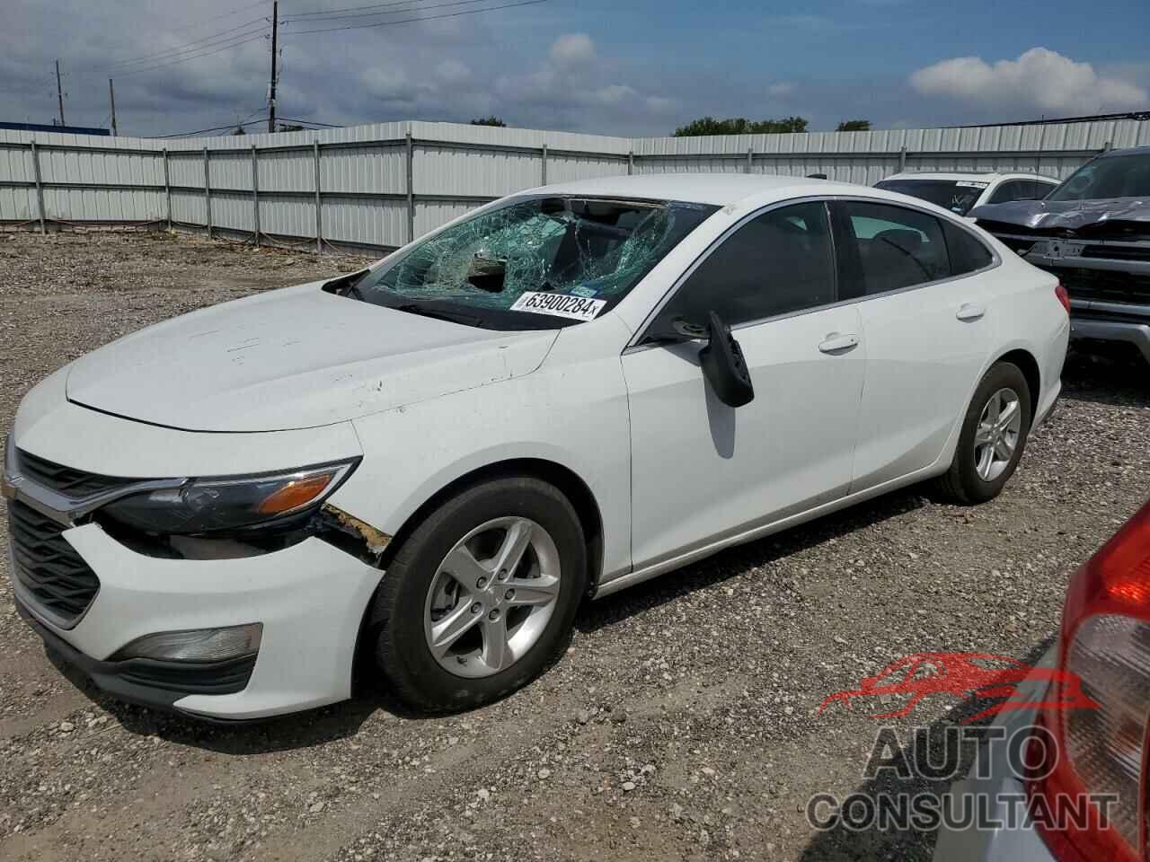 CHEVROLET MALIBU 2019 - 1G1ZB5ST5KF175603