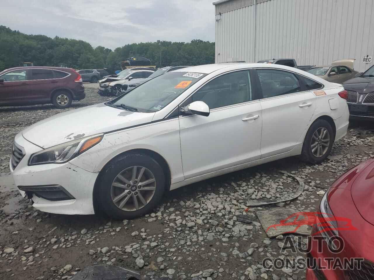 HYUNDAI SONATA 2015 - 5NPE24AF0FH190808