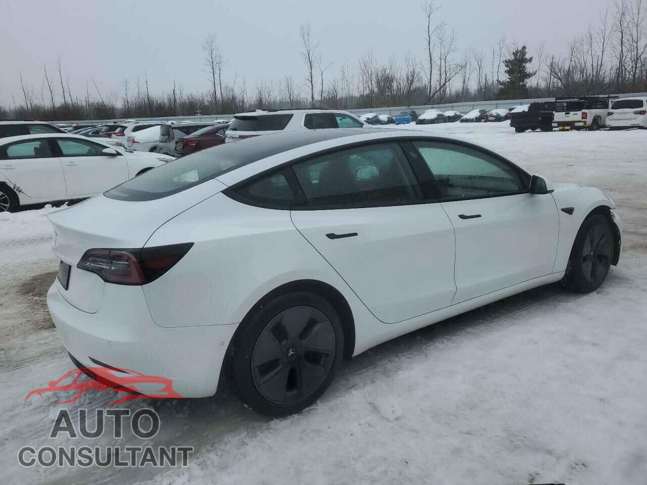 TESLA MODEL 3 2021 - 5YJ3E1EA4MF092260