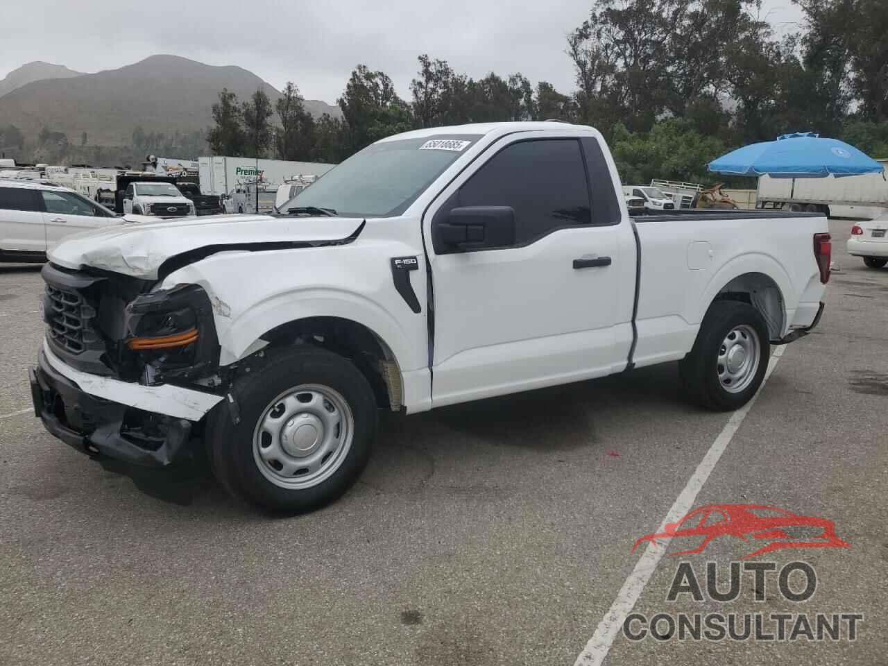 FORD F150 2024 - 1FTMF1K59RKF44075