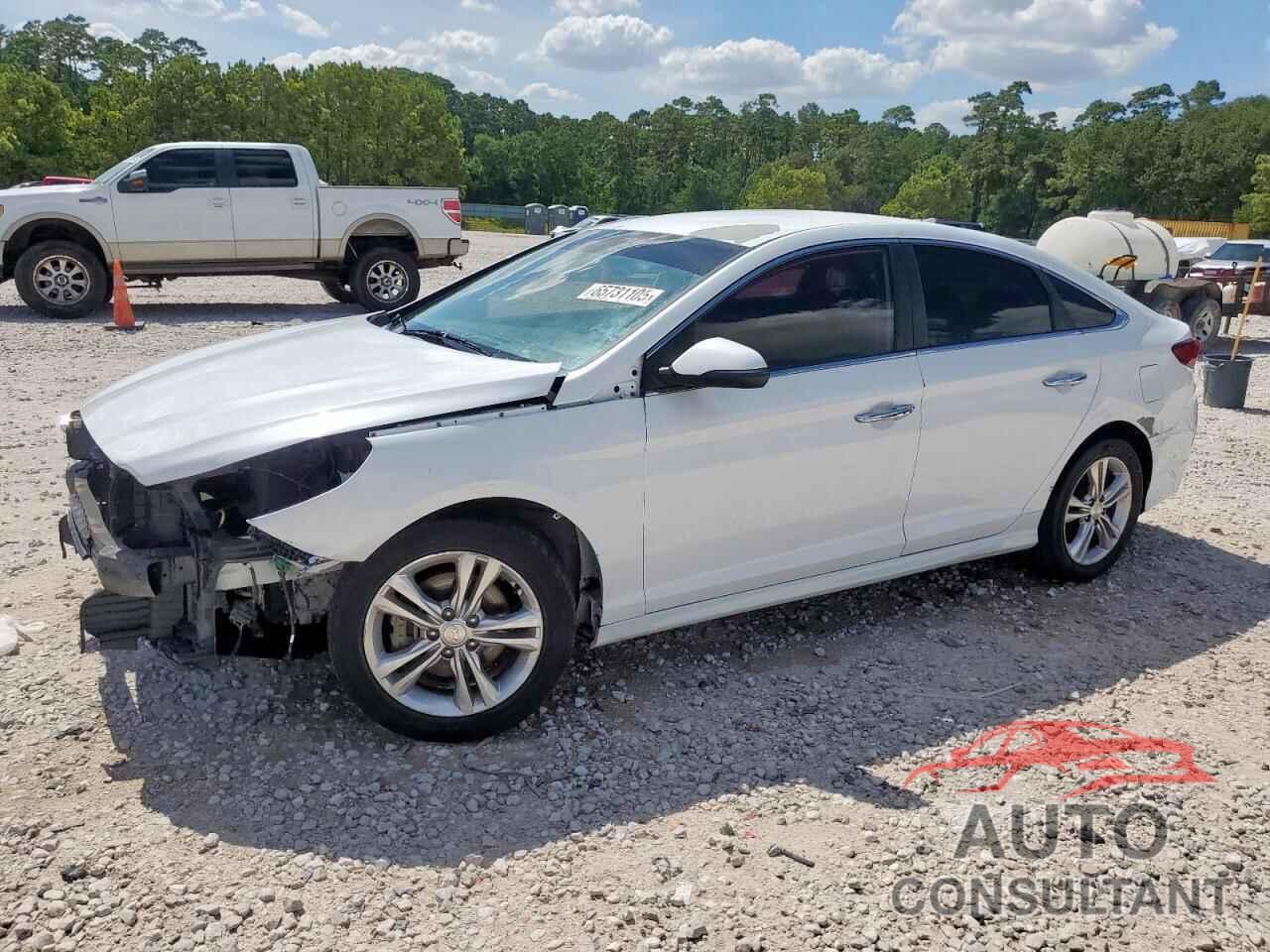 HYUNDAI SONATA 2019 - 5NPE34AF6KH774167