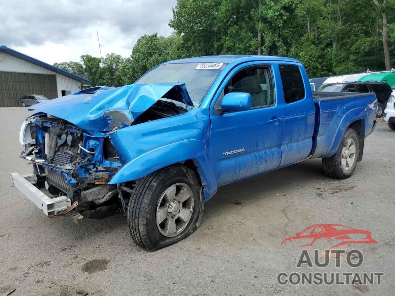 TOYOTA TACOMA 2009 - 5TEUU42N29Z657191