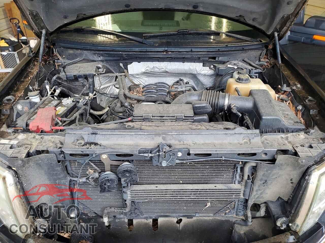 FORD F150 2011 - 1FTFX1EF6BFA82583