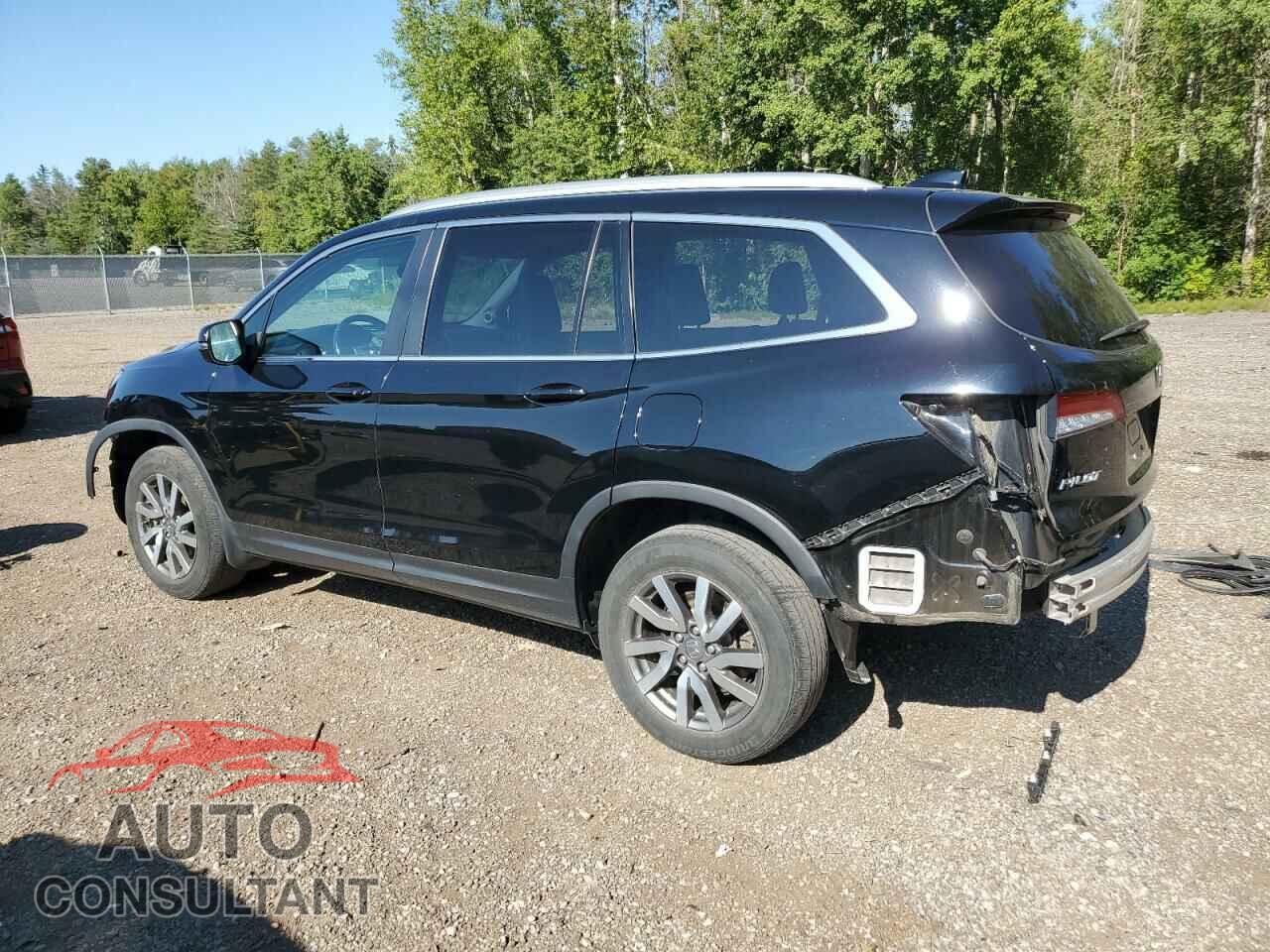 HONDA PILOT 2020 - 5FNYF6H79LB501691