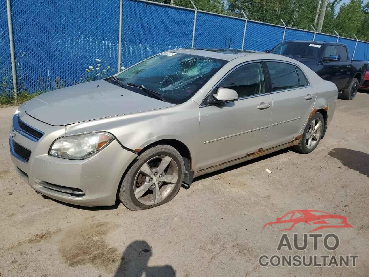 CHEVROLET MALIBU 2009 - 1G1ZJ57B69F181939