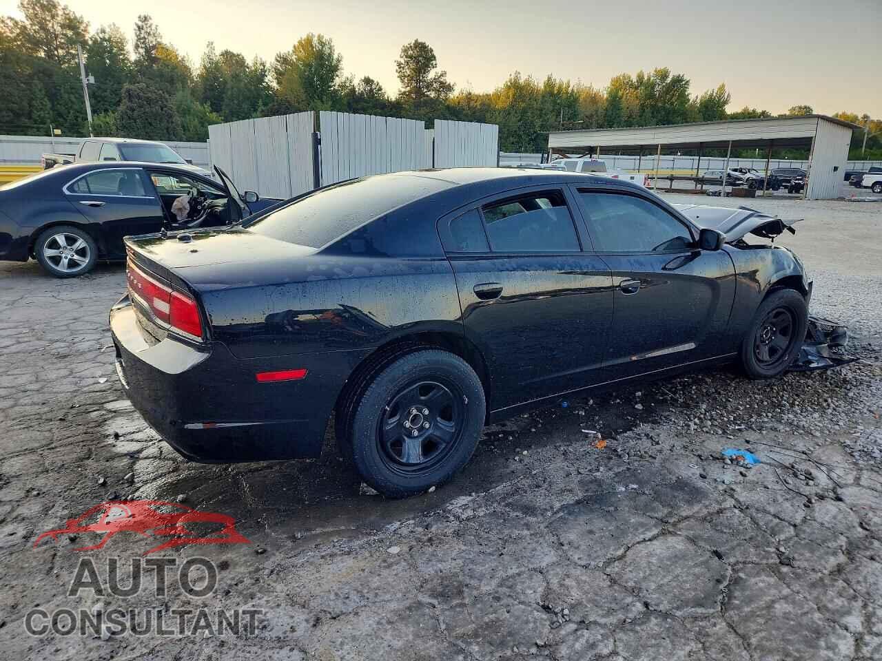 DODGE CHARGER 2013 - 2C3CDXAT5DH693155