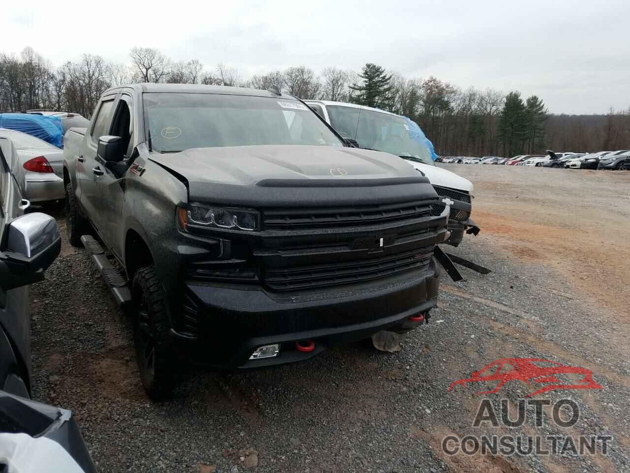 CHEVROLET SILVERADO 2019 - 3GCPYFED7KG263008