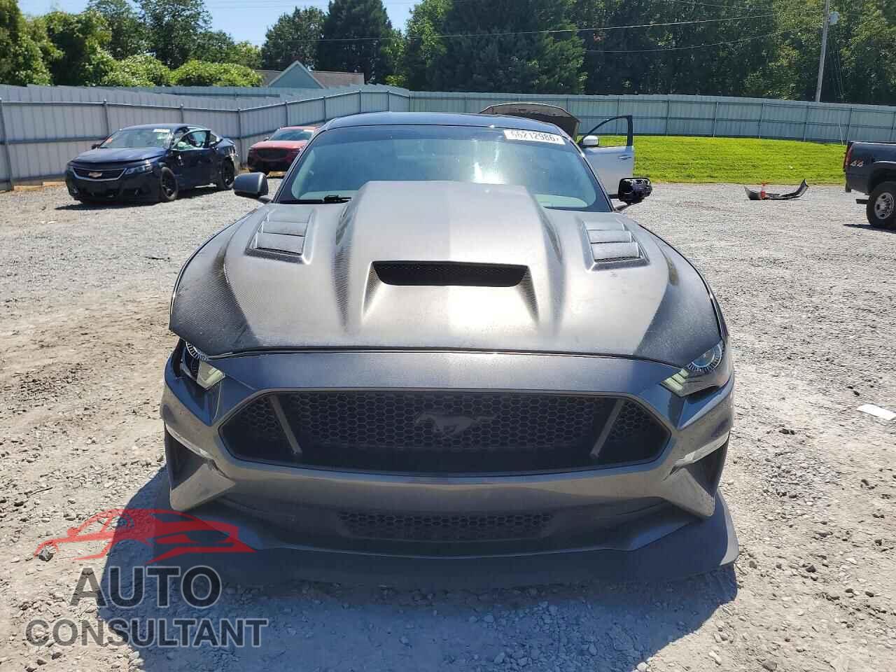 FORD MUSTANG 2019 - 1FA6P8CF6K5146709