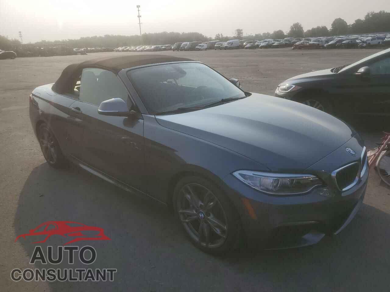 BMW M2 2017 - WBA2L1C35HV668710