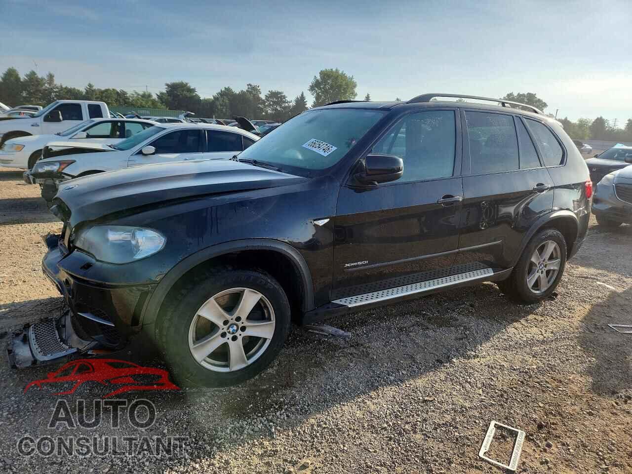 BMW X5 2011 - 5UXZV8C51BL417898