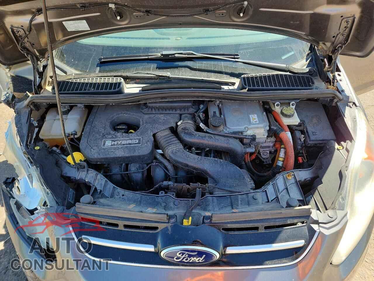 FORD CMAX 2013 - 1FADP5BU2DL530667