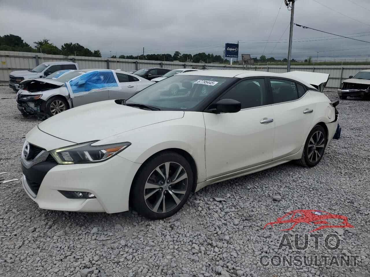 NISSAN MAXIMA 2017 - 1N4AA6APXHC384563