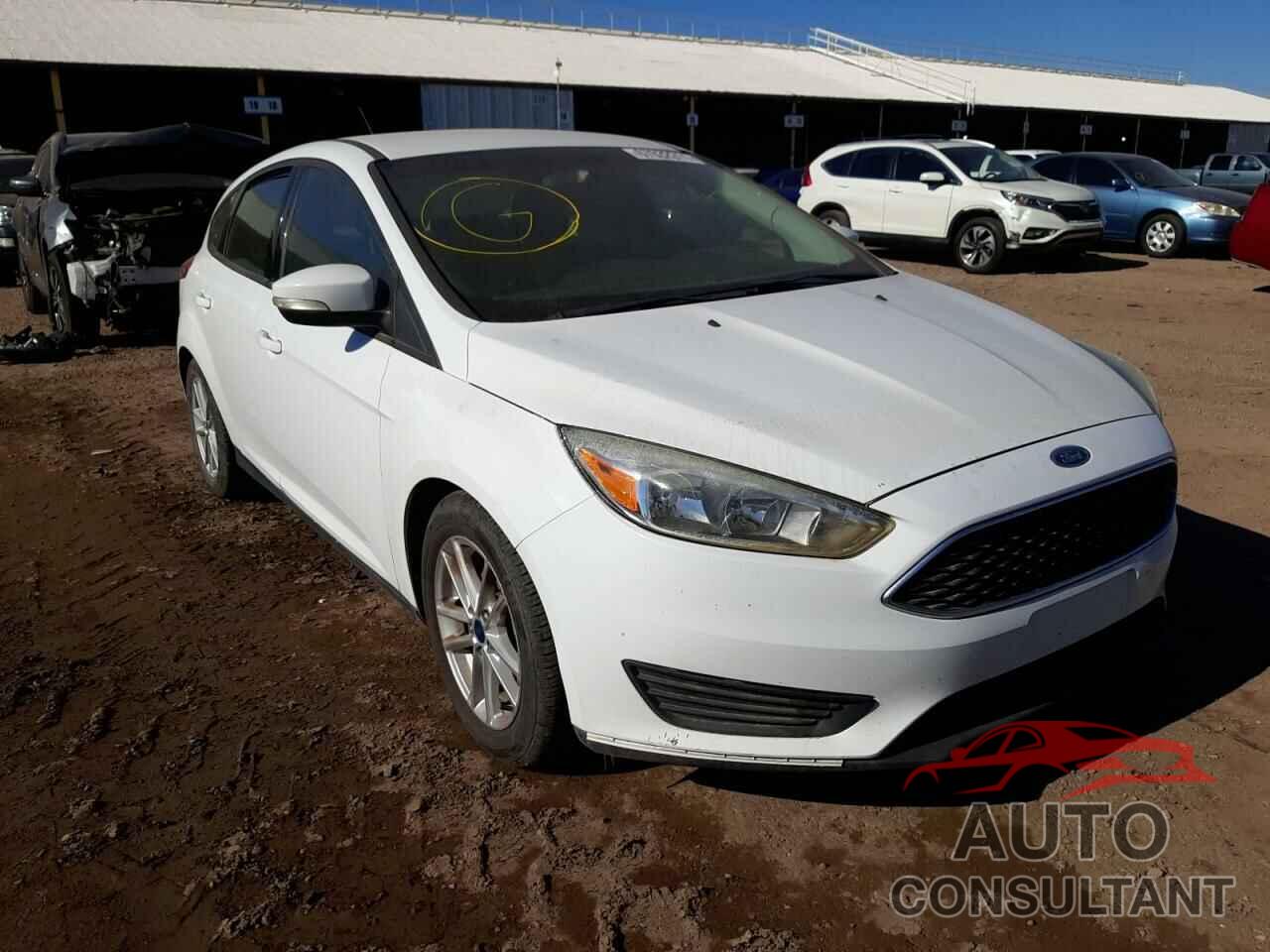 FORD FOCUS 2016 - 1FADP3K20GL319376