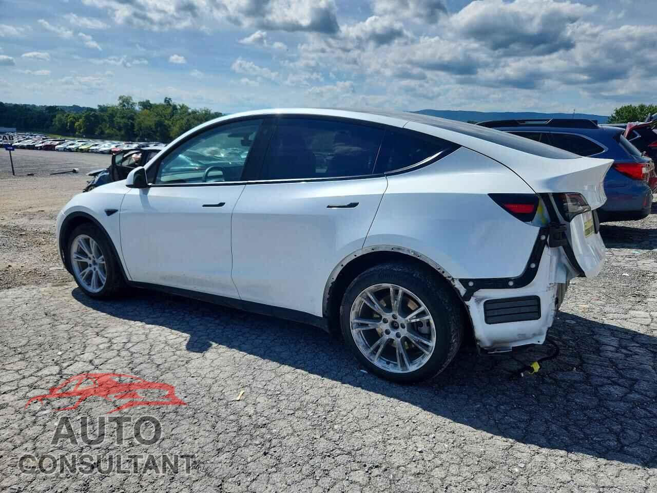 TESLA MODEL Y 2023 - 7SAYGDEE5PF701304