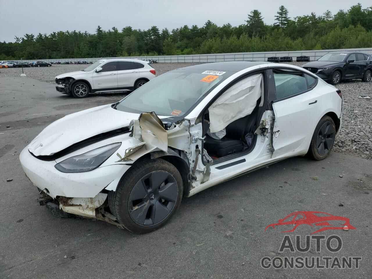 TESLA MODEL 3 2021 - 5YJ3E1EB0MF961753