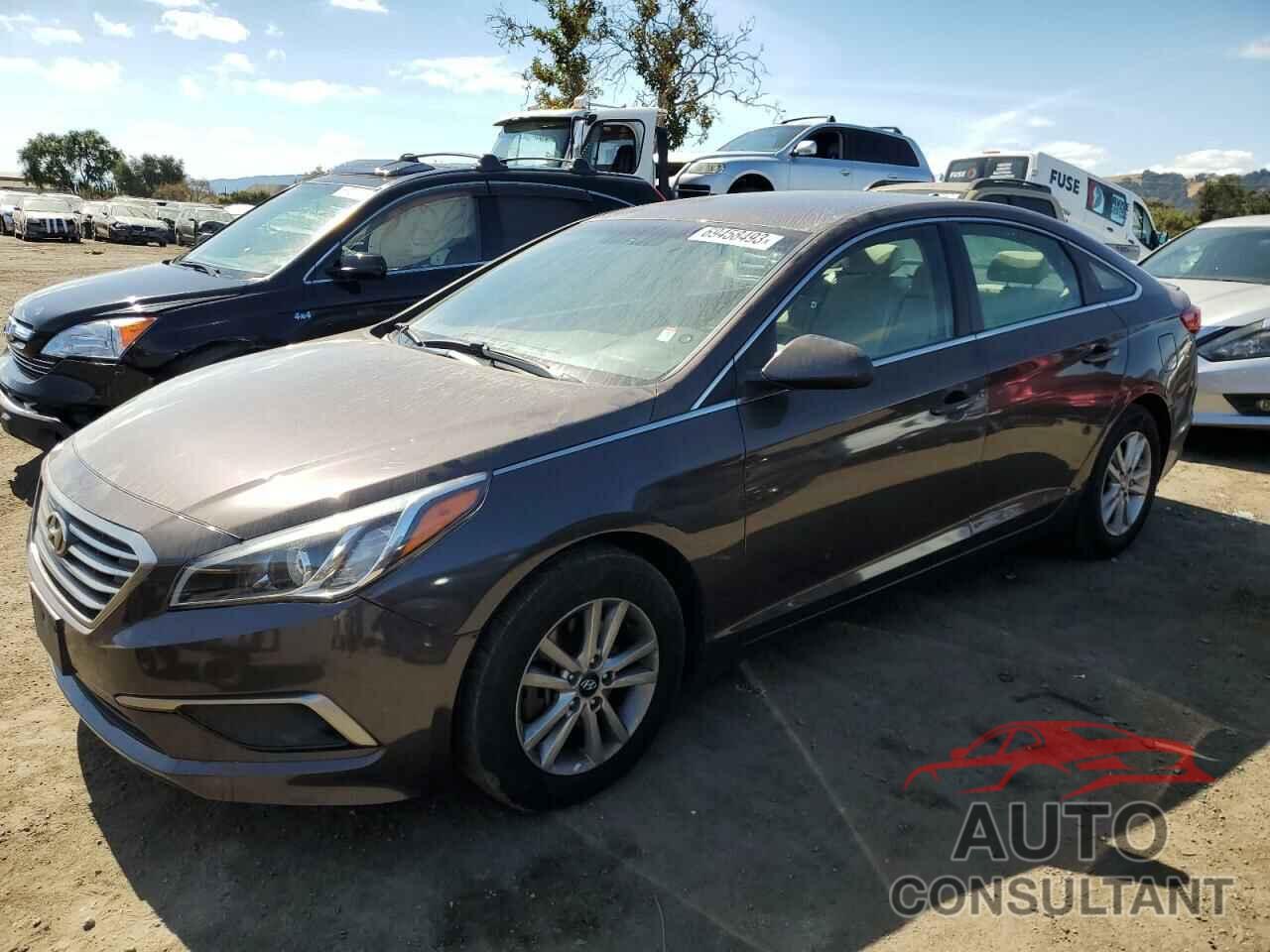 HYUNDAI SONATA 2016 - 5NPE24AF2GH344548