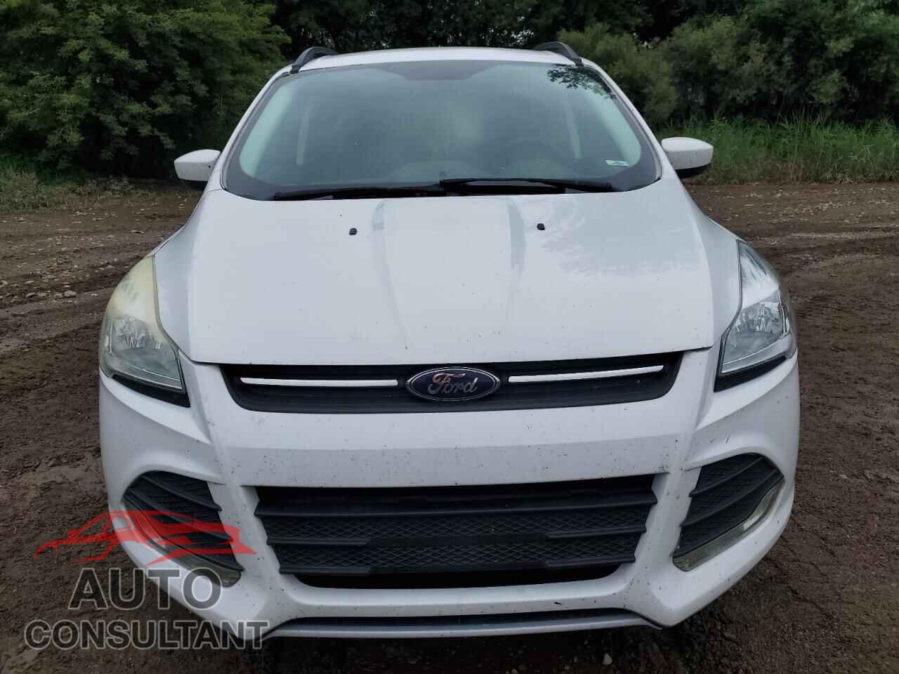 FORD ESCAPE 2016 - 1FMCU0GX8GUC51366