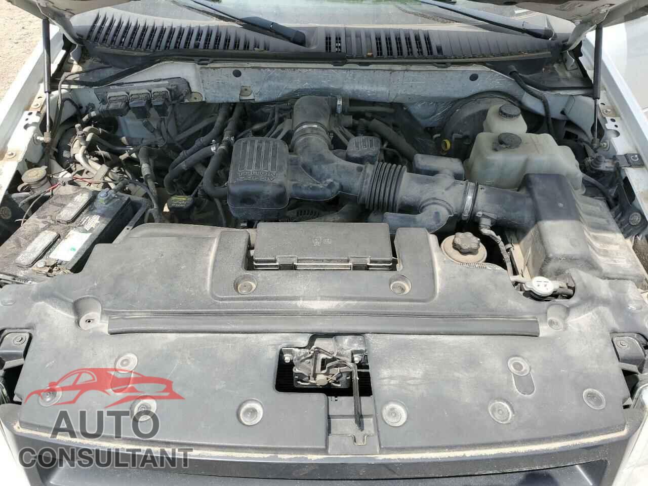 FORD EXPEDITION 2009 - 1FMFU16559EB27121