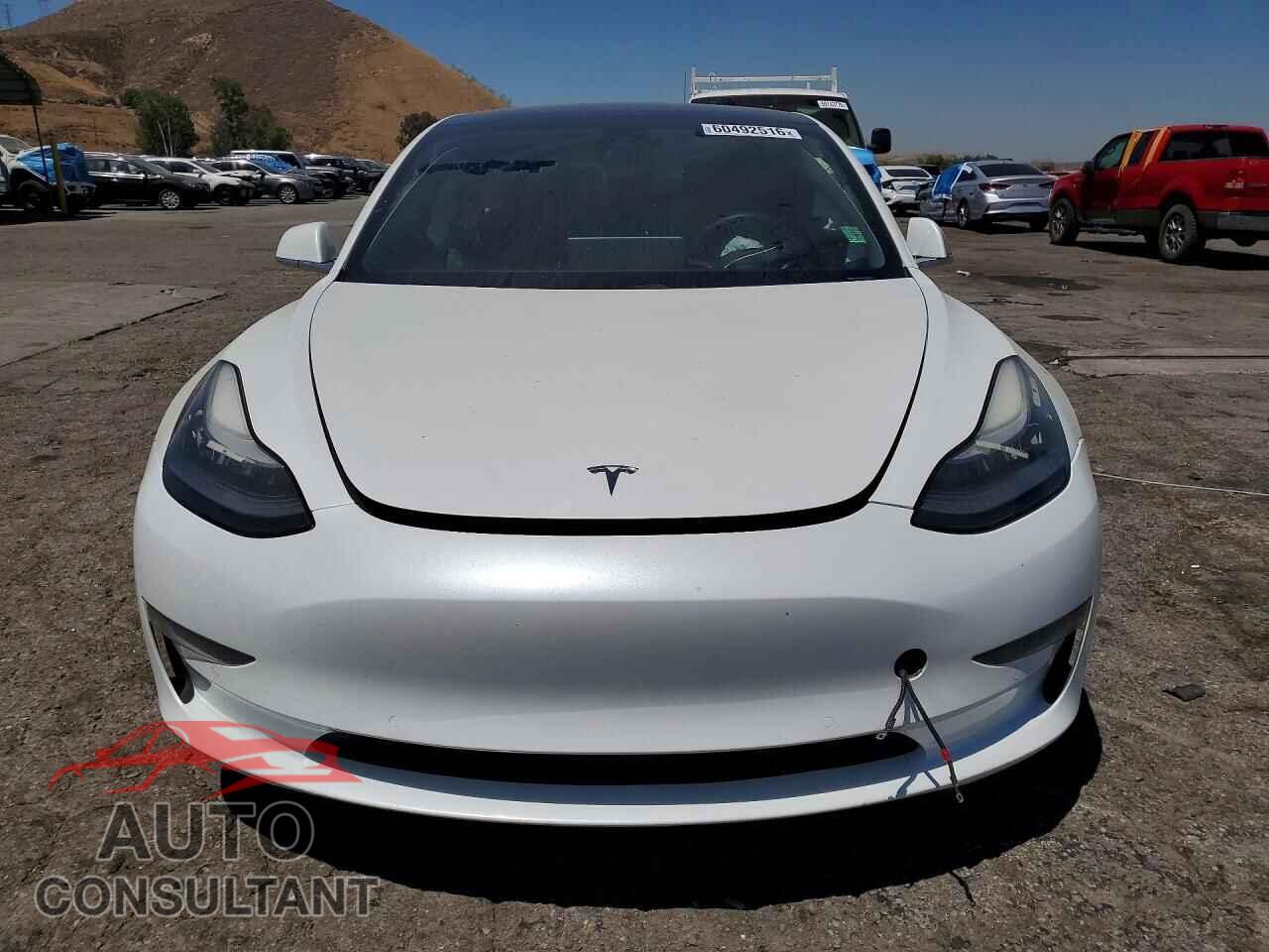 TESLA MODEL 3 2019 - 5YJ3E1EA3KF437923