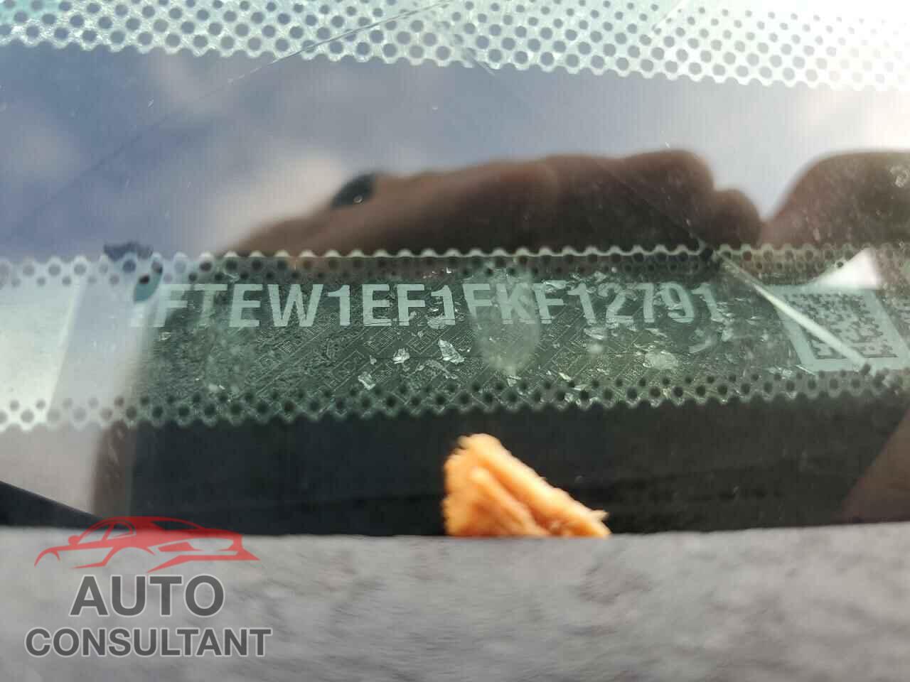 FORD F-150 2015 - 1FTEW1EF1FKF12791