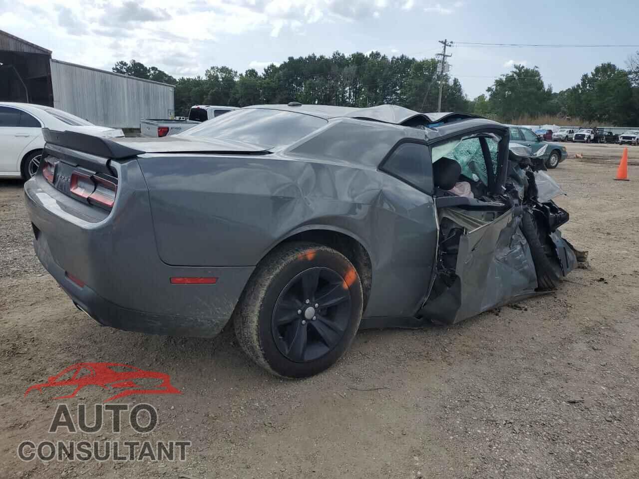 DODGE CHALLENGER 2019 - 2C3CDZAG1KH621008