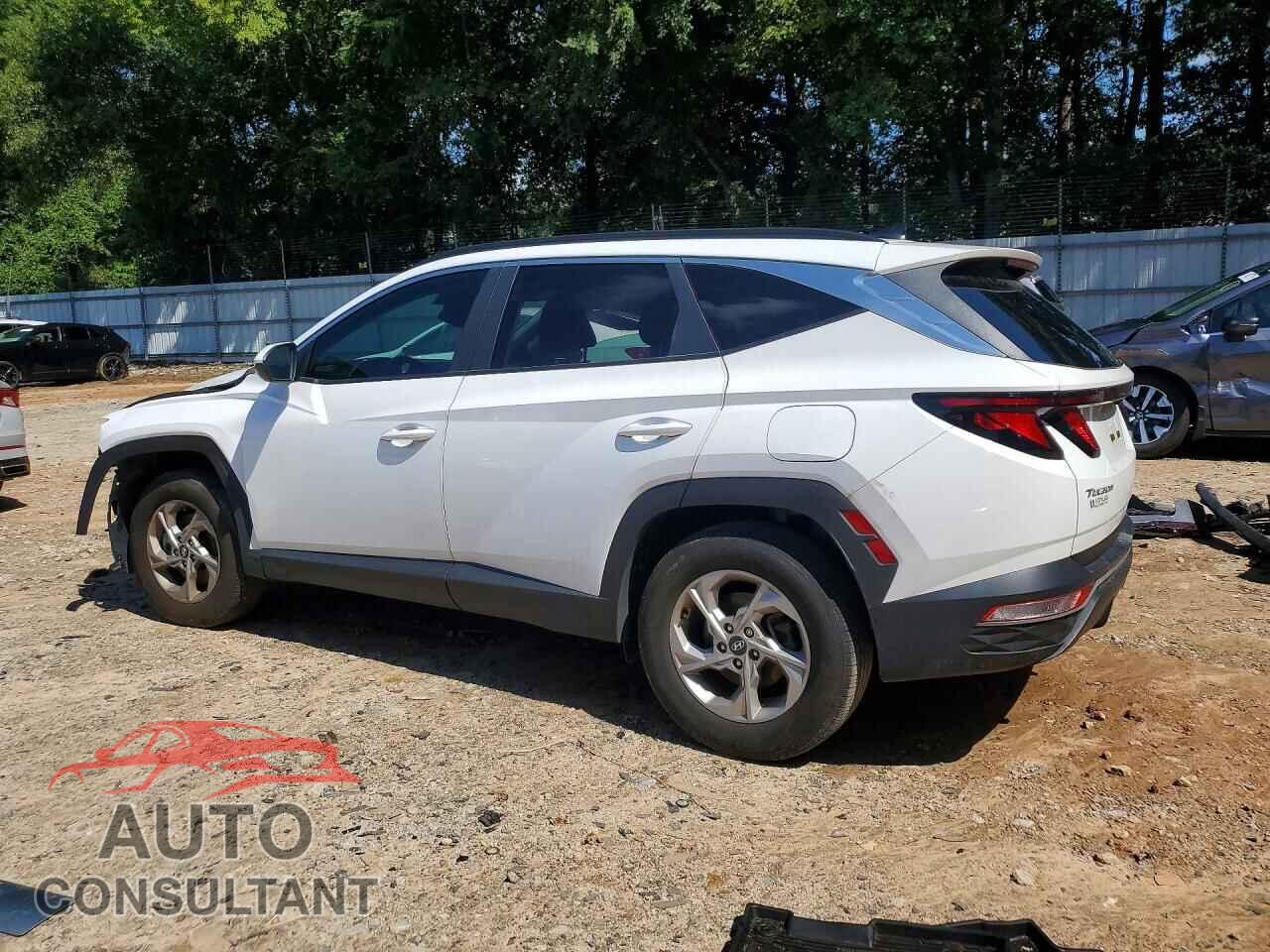 HYUNDAI TUCSON 2024 - 5NMJB3DE9RH395265
