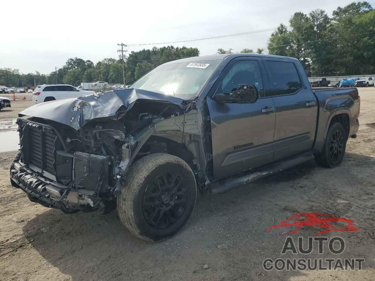 TOYOTA TUNDRA 2023 - 5TFLA5DBXPX065510
