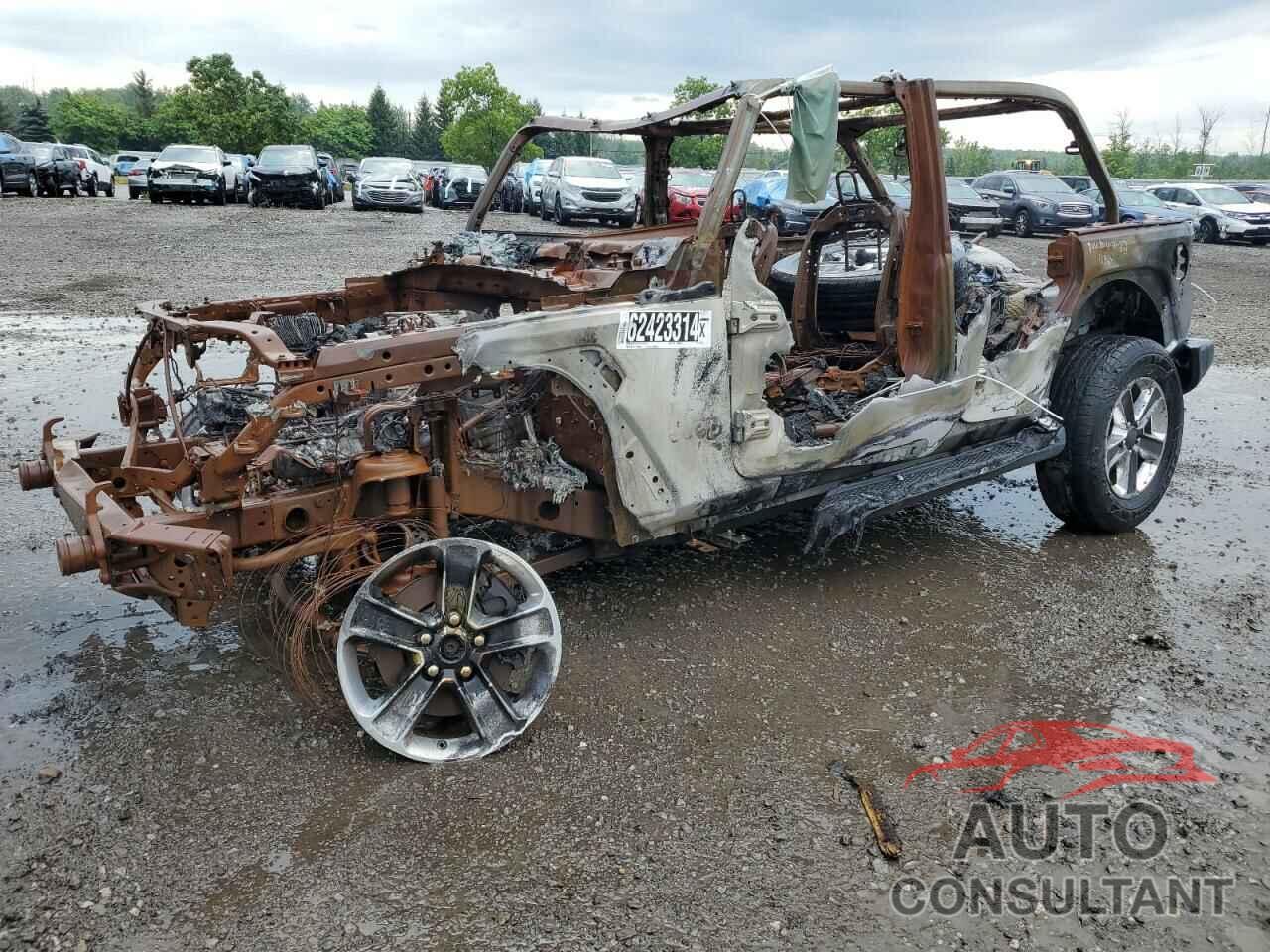 JEEP WRANGLER 2020 - 1C4HJXEN2LW220528