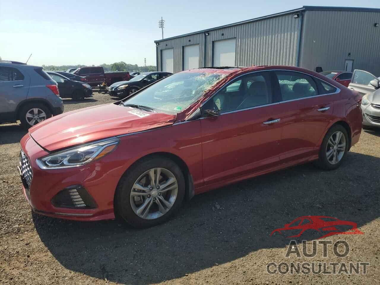 HYUNDAI SONATA 2019 - 5NPE34AF5KH812813