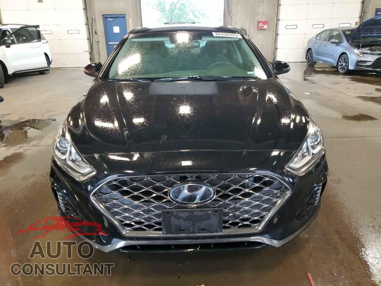 HYUNDAI SONATA 2019 - 5NPE34AF8KH734236
