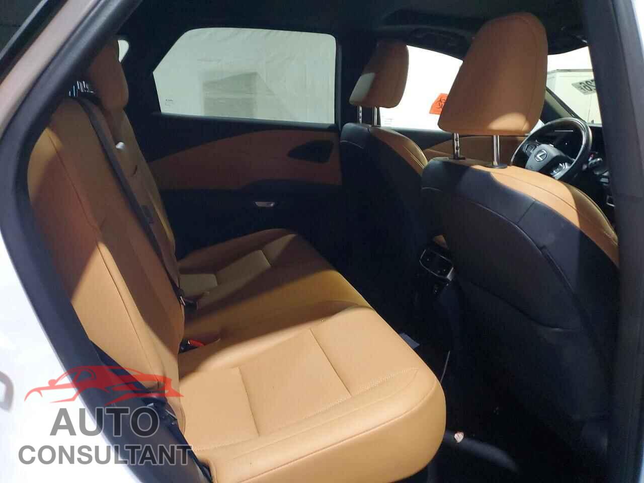 LEXUS RX350 2024 - 2T2BAMCA2RC086198