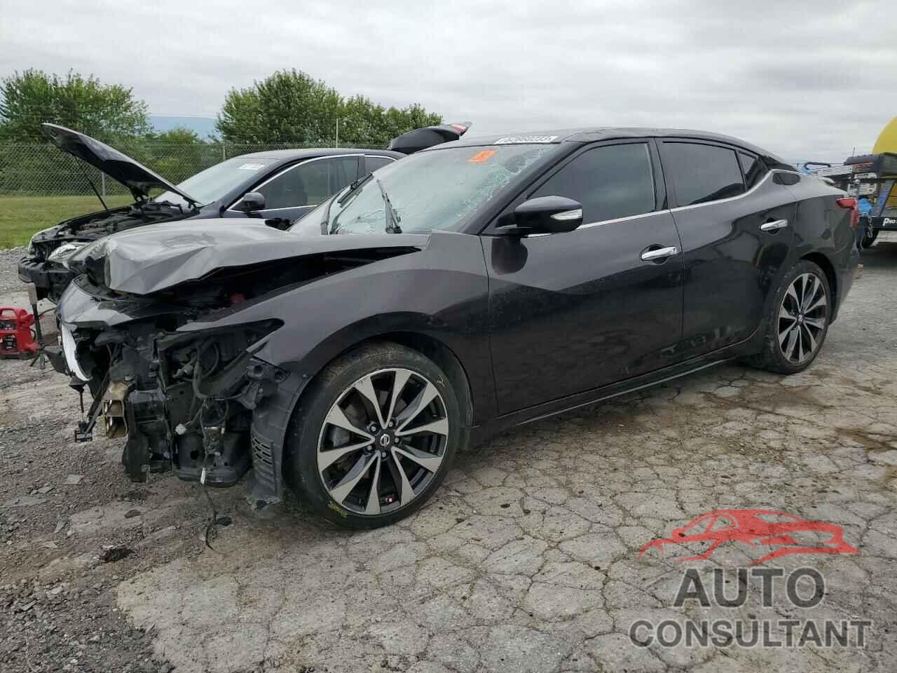 NISSAN MAXIMA 2016 - 1N4AA6AP4GC386114