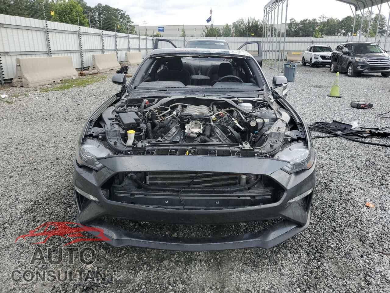 FORD MUSTANG 2019 - 1FA6P8CF7K5118515