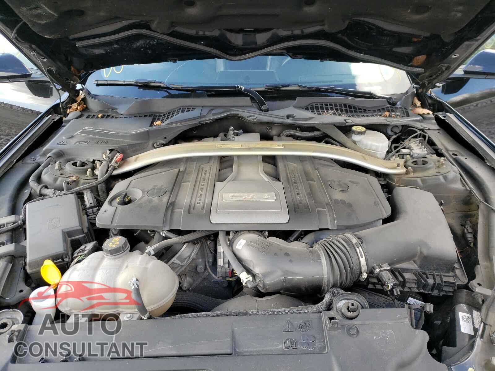 FORD MUSTANG 2019 - 1FA6P8CF2K5157514