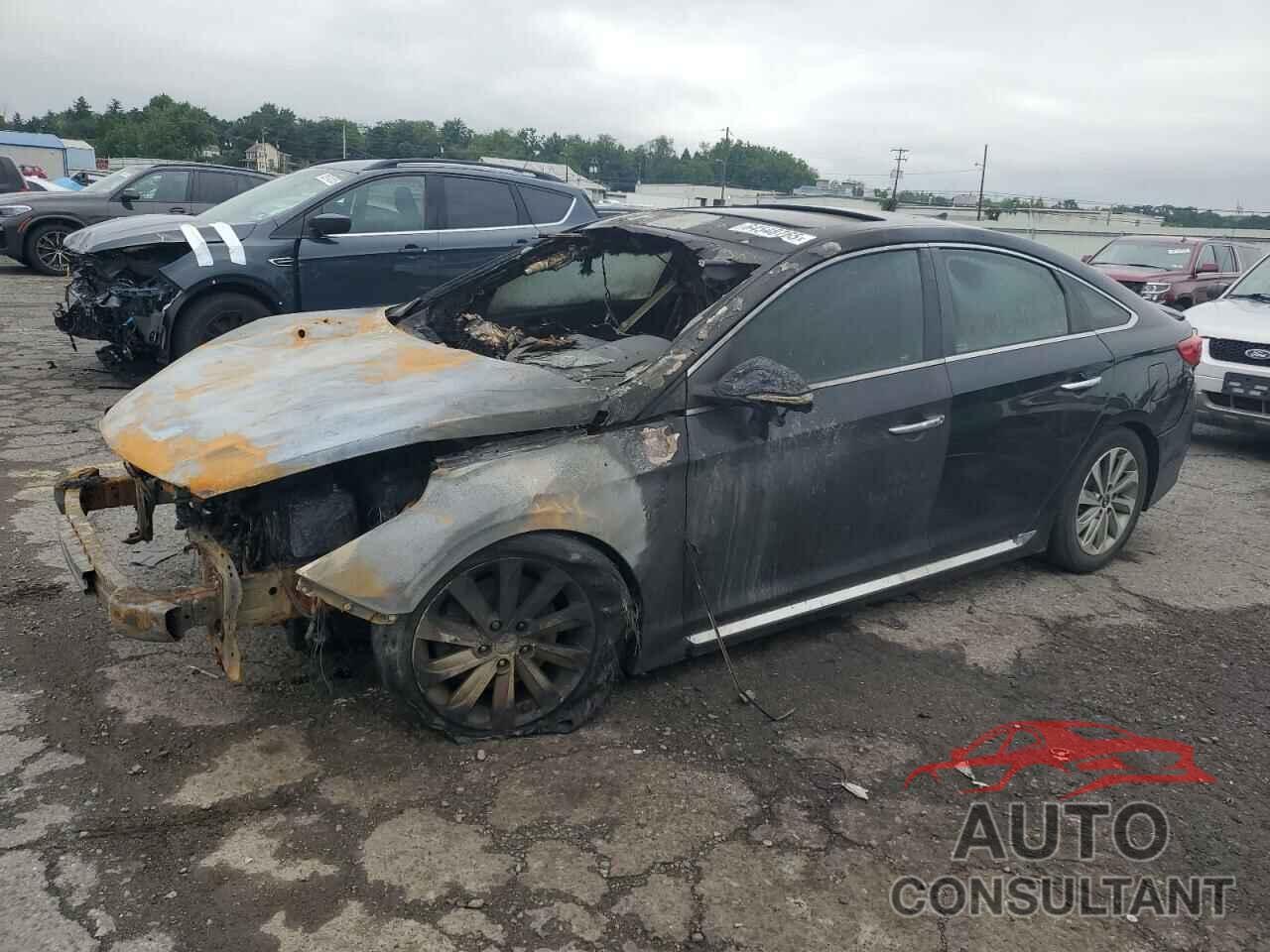 HYUNDAI SONATA 2017 - 5NPE34AF1HH527440
