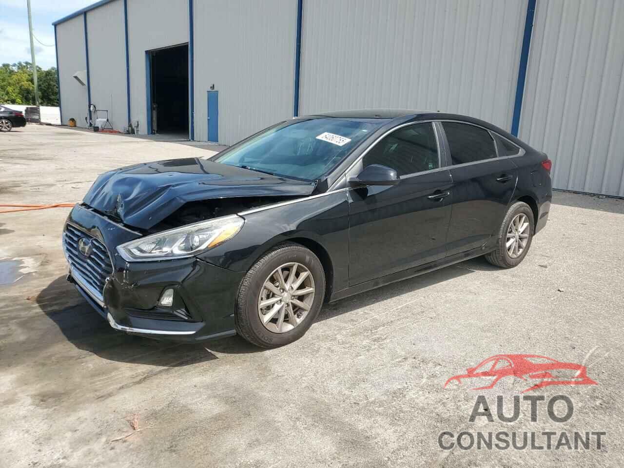 HYUNDAI SONATA 2019 - 5NPE24AF6KH817795