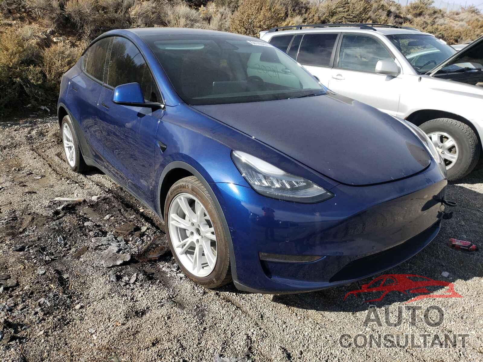 TESLA MODEL Y 2020 - 5YJYGDEE9LF055482