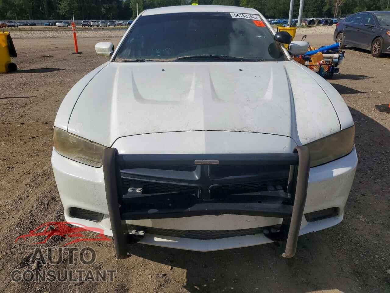 DODGE CHARGER 2014 - 2C3CDXAT5EH348919