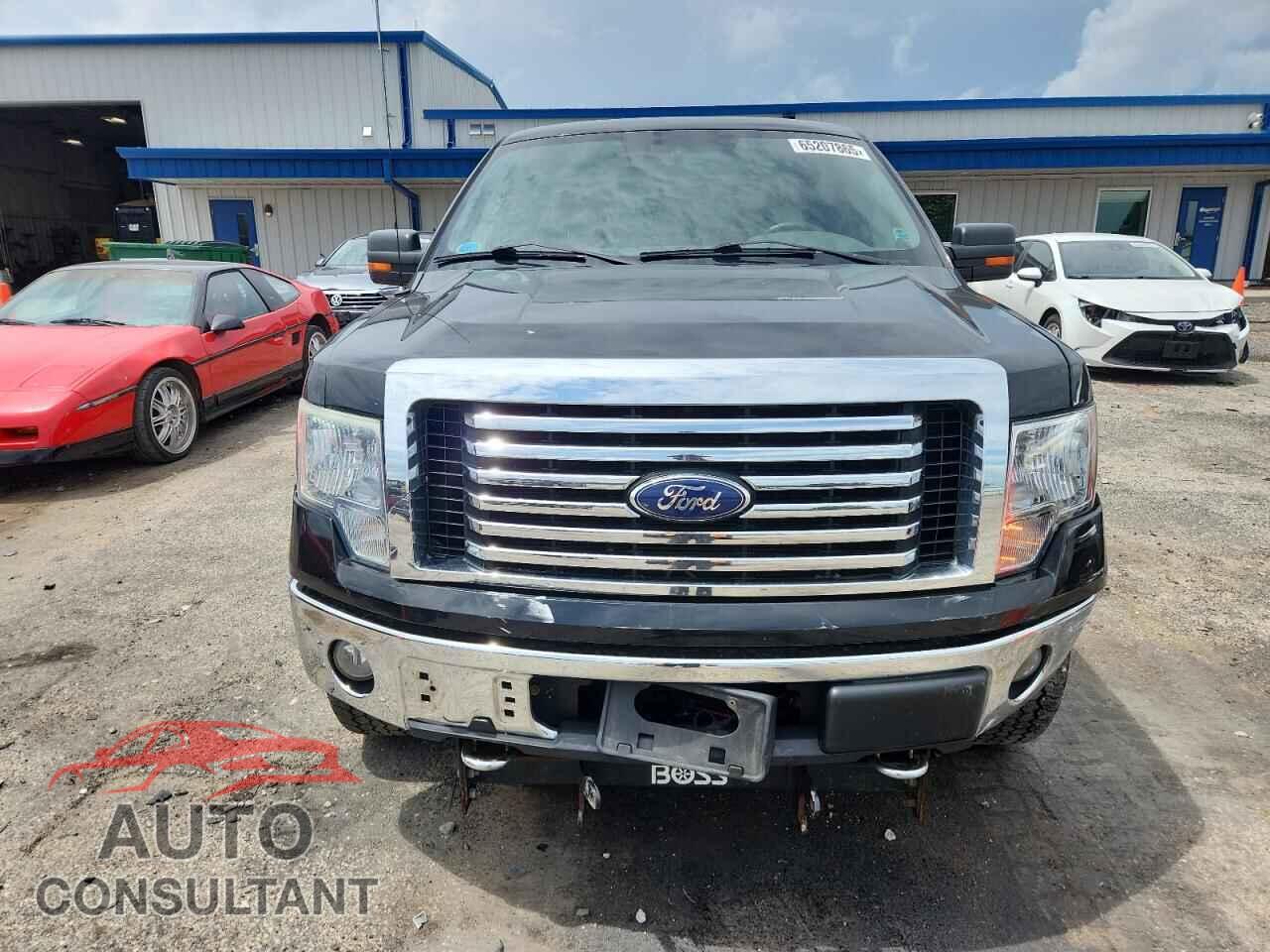 FORD F-150 2010 - 1FTFX1EV2AFB34829