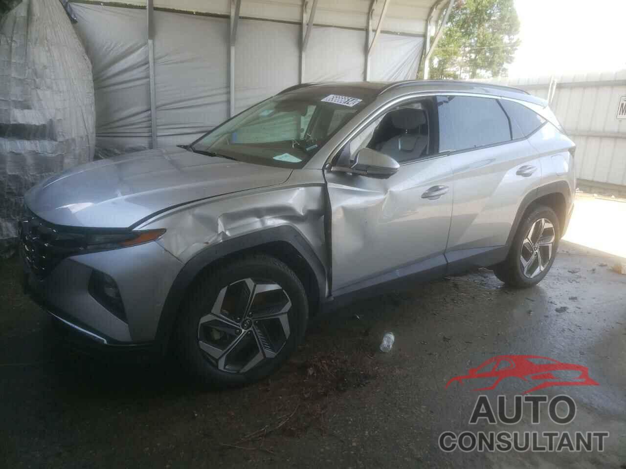 HYUNDAI TUCSON 2024 - 5NMJECDE5RH305830