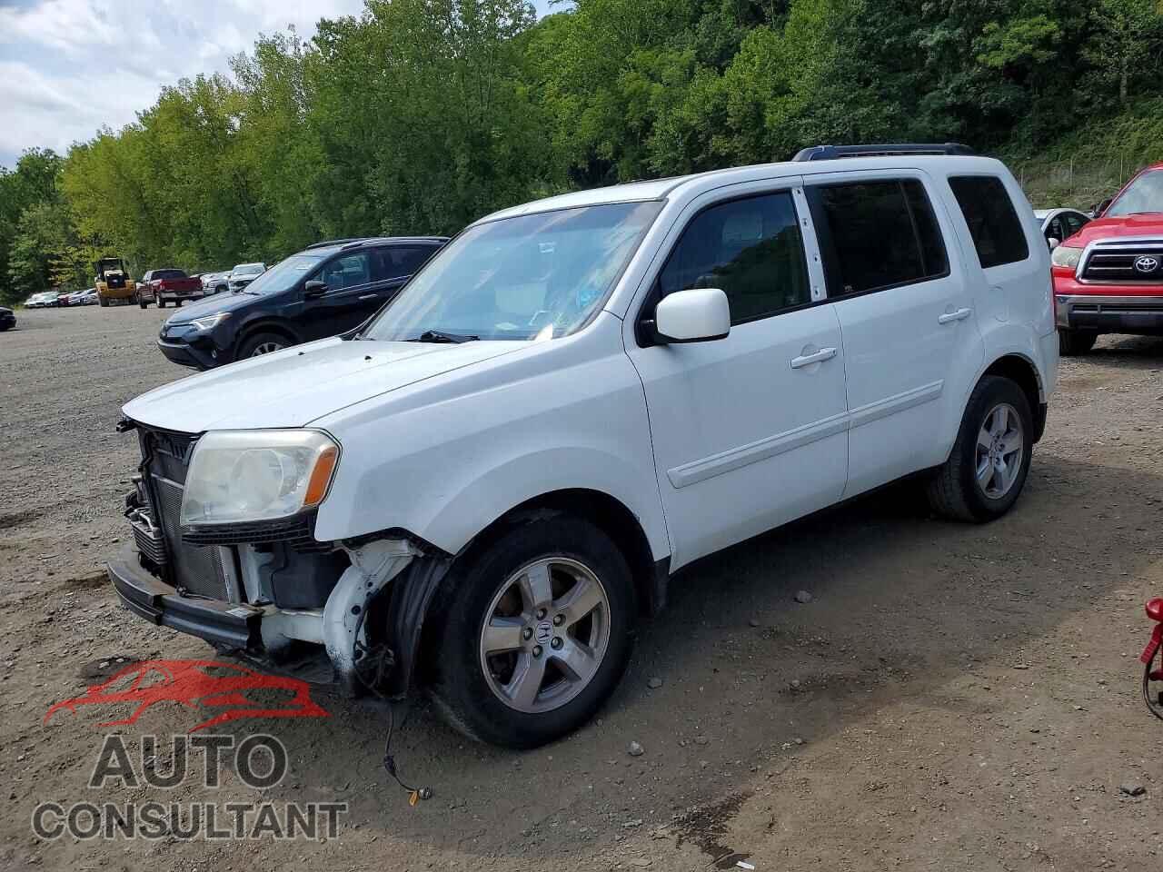 HONDA PILOT 2011 - 5FNYF4H5XBB085426