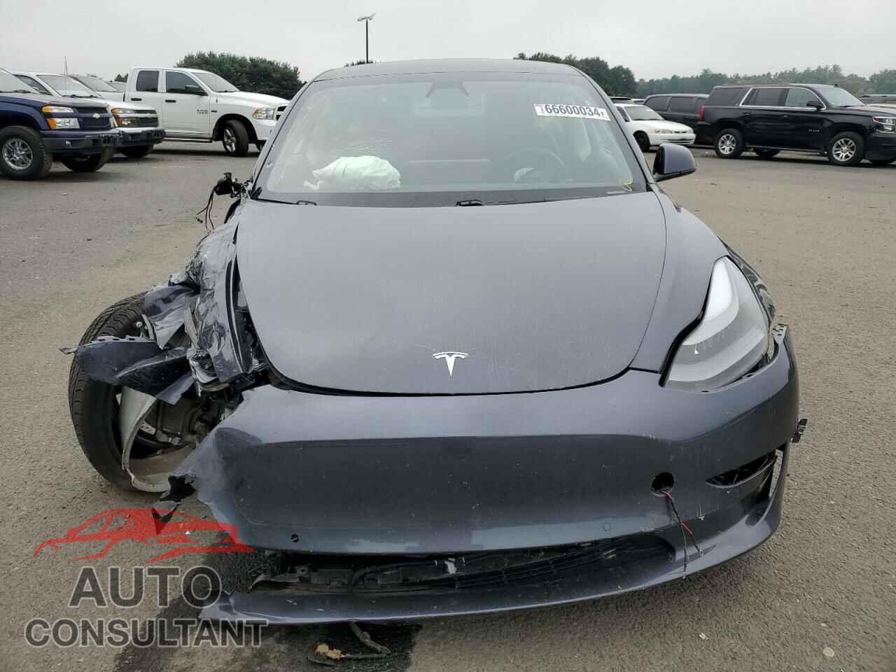 TESLA MODEL 3 2021 - 5YJ3E1EB7MF031459