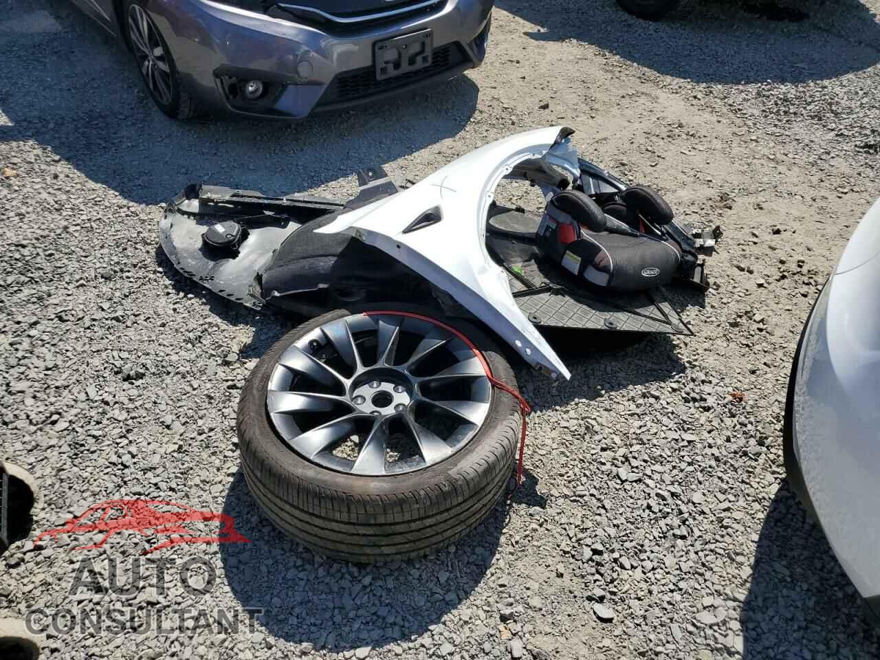 TESLA MODEL Y 2024 - 7SAYGDEE0RF044656