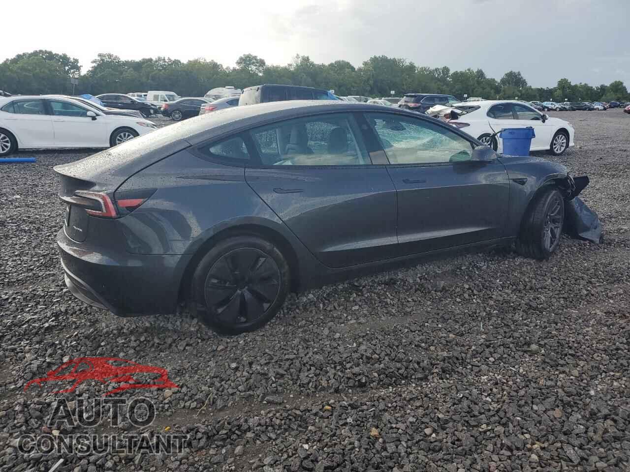 TESLA MODEL 3 2025 - 5YJ3E1EB1SF908220