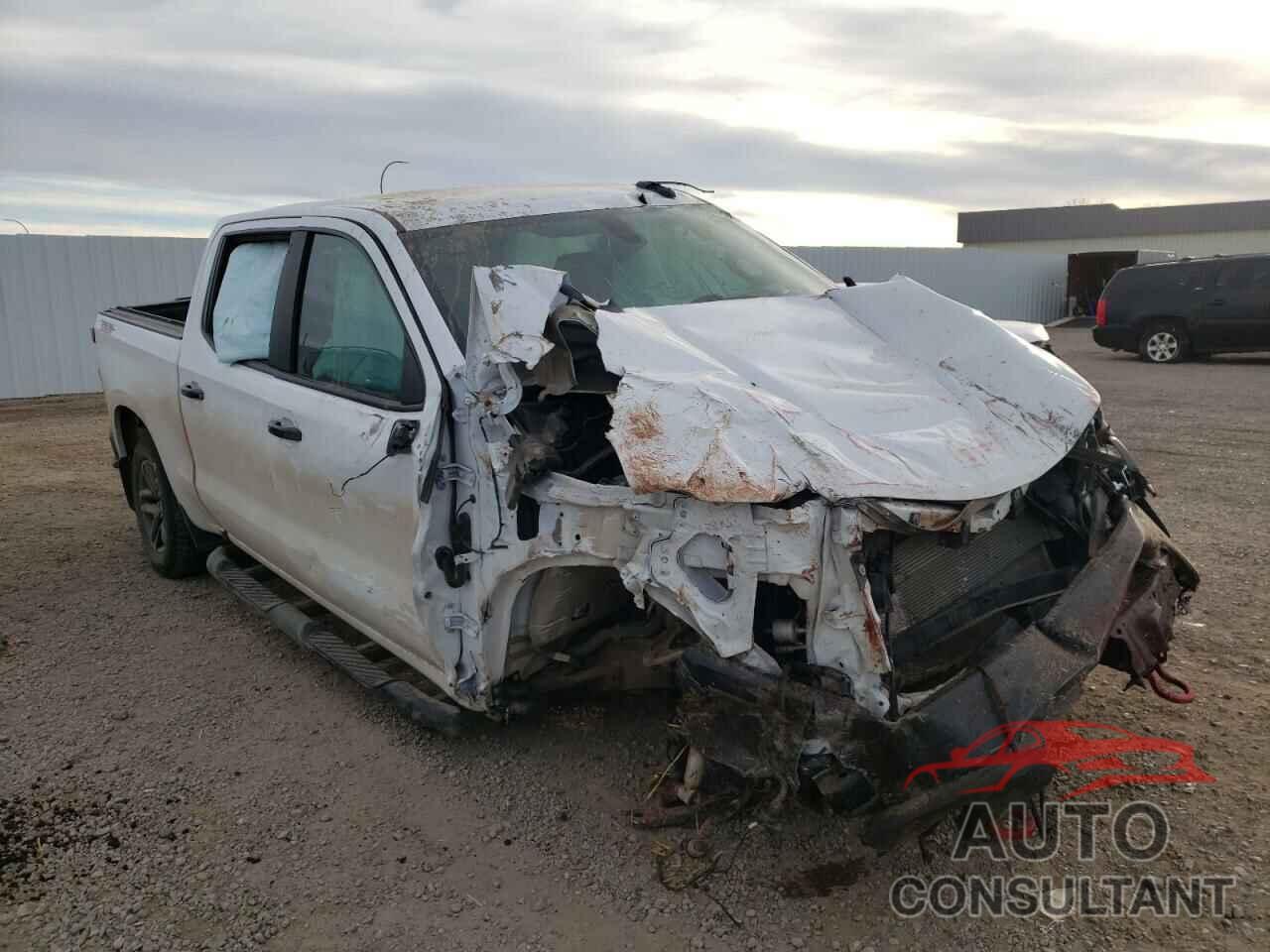 CHEVROLET SILVERADO 2019 - 1GCPYFED0KZ107019