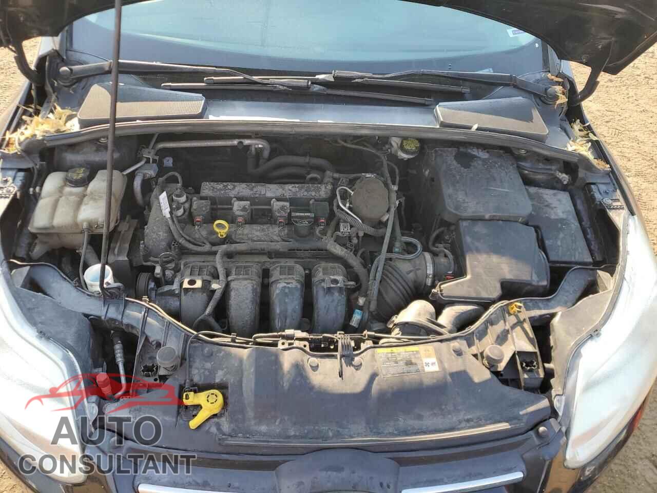FORD FOCUS 2014 - 1FADP3K23EL109285