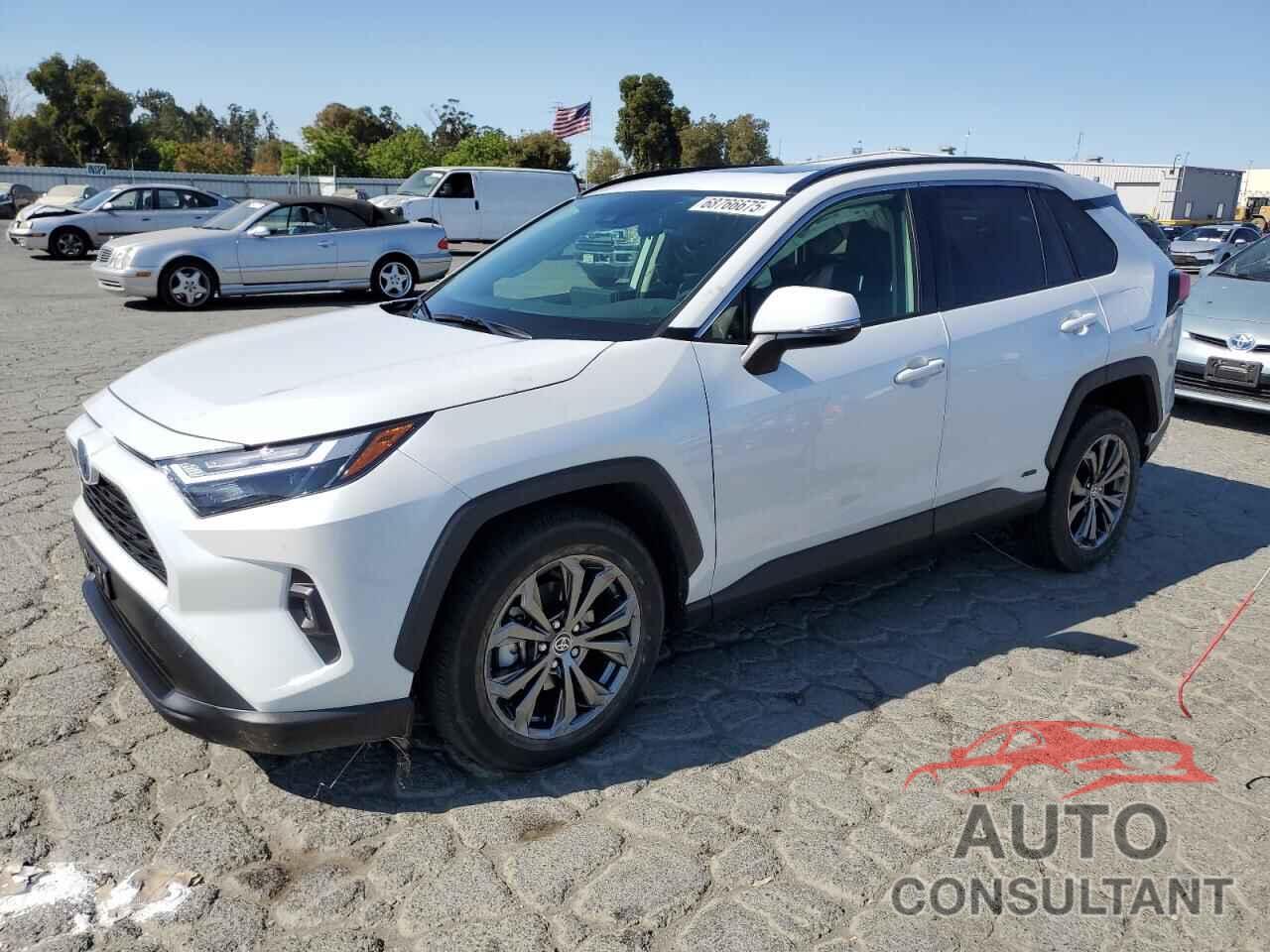TOYOTA RAV4 2024 - JTMB6RFV4RD145739