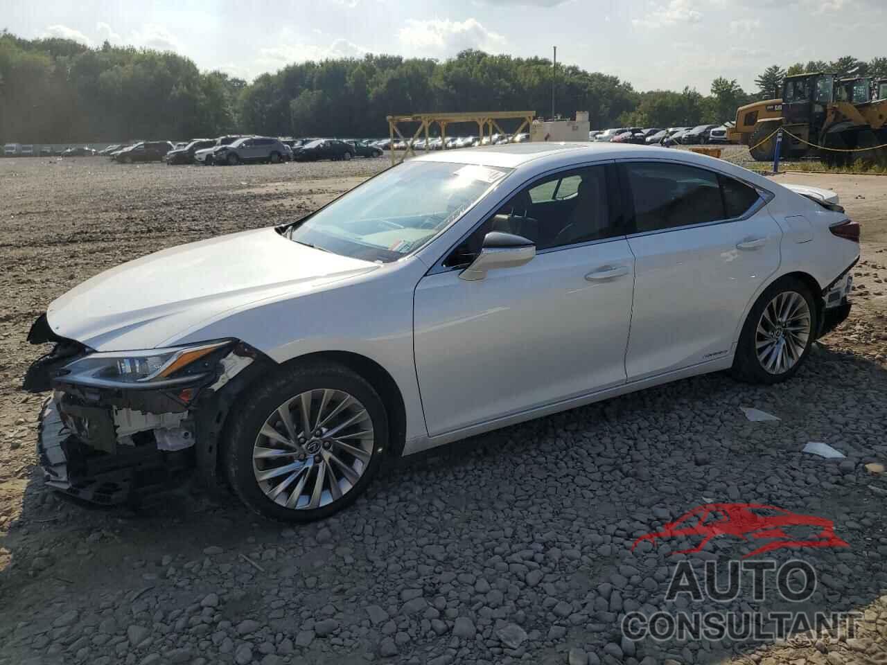 LEXUS ES300 2022 - 58AEA1C17NU019565